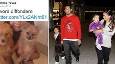 Carlos Tevez desesperado: ofrece rescate en Twitter por el perro de su hija Carlos Tevez desesperado: ofrece rescate en Twitter por el perro de su hija