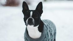 Implementar estas tres acciones simples pero efectivas puede prevenir múltiples enfermedades y mejorar su calidad de vida. Implementar estas tres acciones simples pero efectivas puede prevenir múltiples enfermedades y mejorar su calidad de vida.