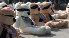 La campaña internacional se desarrolla en diferentes ciudades. La campaña internacional se desarrolla en diferentes ciudades.