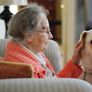 La iniciativa de ley buscar permitir entierros de personas con sus mascotas.