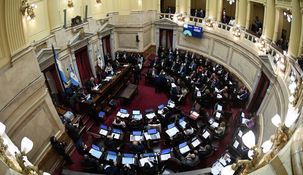La Cámara Alta aprobó el proyecto oficialista.