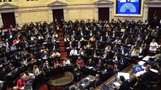 La sesión en Diputados para votar el acuerdo con el FMI. La sesión en Diputados para votar el acuerdo con el FMI.