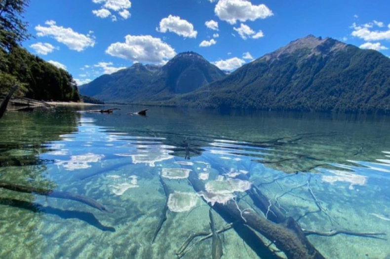 El bosque sumergido es uno de los fenómenos más impactantes del lugar.