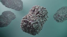 La Argentina decidió reforzar las medidas de prevención en las fronteras. La Argentina decidió reforzar las medidas de prevención en las fronteras.