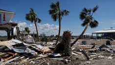 Se reportaron muertes en Carolina del Sur, Georgia, Florida, Carolina del Norte y Virginia Se reportaron muertes en Carolina del Sur, Georgia, Florida, Carolina del Norte y Virginia