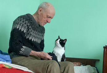 El gato permanece cerca de su dueño, un anciano con Alzheimer, en un video que emocionó a miles de usuarios en X.