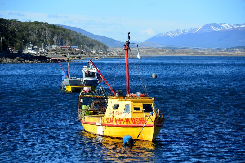 La navegación por el Beagle muestra fauna, faros y paisajes abiertos en una jornada completa.