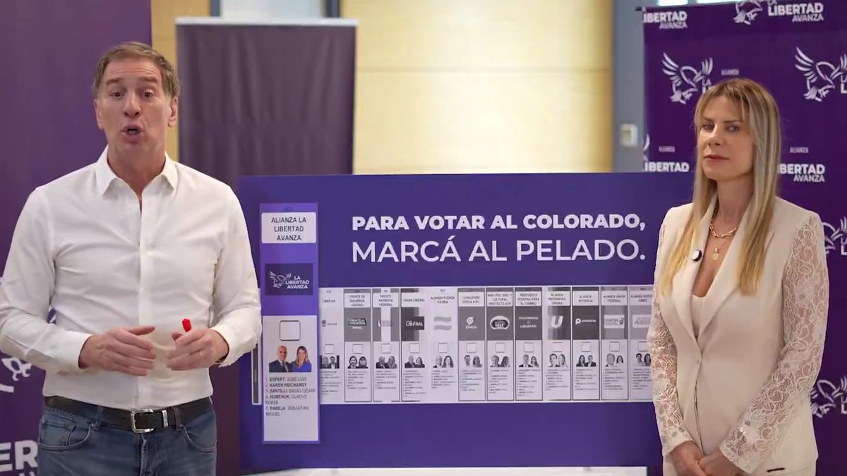 "Para votar al Colorado, marcá al Pelado": la insólita estrategia de los candidatos de La Libertad Avanza para no tener que nombrar a José Luis Espert