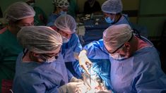 El Hospital Garrahan realizó un trasplante de hígado de un donante en asistolia pediátrico. El Hospital Garrahan realizó un trasplante de hígado de un donante en asistolia pediátrico.