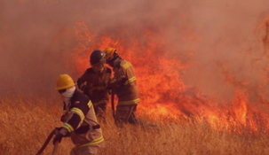 &nbsp;Las autoridades activaron el Sistema de Alerta de Emergencia ante la magnitud del fuego.