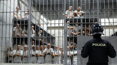 Buleke anunció la noticia en redes sociales. Buleke anunció la noticia en redes sociales.