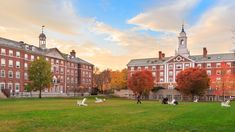 trump congelo mas de 2.200 millones de dolares a harvard por rechazar sus exigencias trump congelo mas de 2.200 millones de dolares a harvard por rechazar sus exigencias