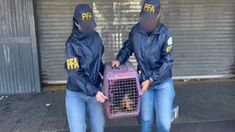 El arresto se realizó cuando la acusada se encontraba en las inmediaciones de una de las terminales del tren, en Retiro. El arresto se realizó cuando la acusada se encontraba en las inmediaciones de una de las terminales del tren, en Retiro.