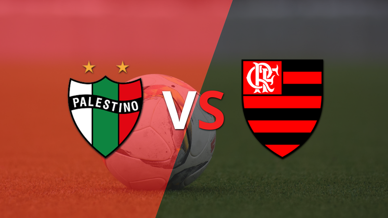 Palestino derrotó 1-0 a Flamengo
