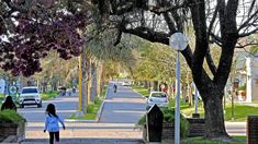 Uno de los eventos más importantes es la Fiesta del Queso, celebrada cada enero. Uno de los eventos más importantes es la Fiesta del Queso, celebrada cada enero.