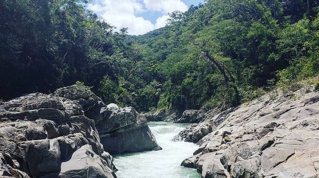 El rio escondido entre la selva de montaña de Salta.