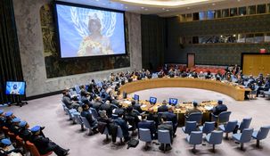 El Consejo de Seguridad de las Naciones Unidas.