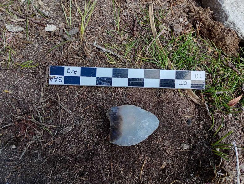 El material hallado en el territorio de Río Negro.