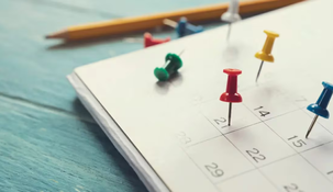 Es importante revisar cuáles son estos días de descanso para poder planificar mejor un fin de año que suele ser intenso. Es importante revisar cuáles son estos días de descanso para poder planificar mejor un fin de año que suele ser intenso.