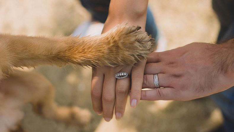  Por eso, el cuidado de las uñas debe considerarse parte del mantenimiento integral de cada mascota.  