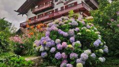 Cuando llega la primavera, esta localidad cordobesa se llena de color y flores. Cuando llega la primavera, esta localidad cordobesa se llena de color y flores.