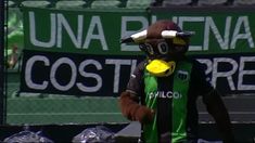 Insólito: echaron a El Toro, la mascota de Nueva Chicago por insultar a un rival Insólito: echaron a El Toro, la mascota de Nueva Chicago por insultar a un rival