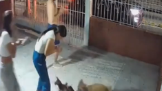 Así reaccionó una familia al encontrar a su perro. Así reaccionó una familia al encontrar a su perro.