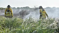 La Provincia de Buenos Aires extinguió dos focos de fuego en las reservas de Punta Lara La Provincia de Buenos Aires extinguió dos focos de fuego en las reservas de Punta Lara