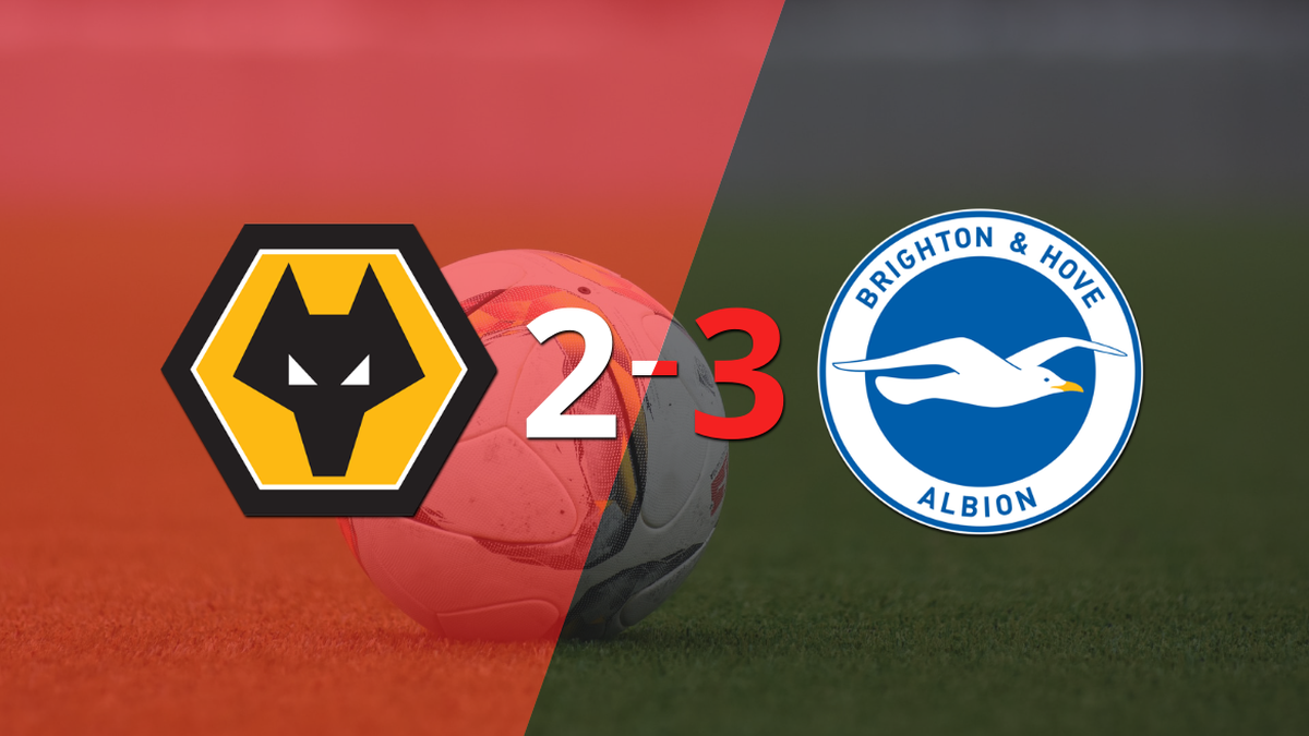 Wolverhampton fue superado 32 en casa por Brighton and Hove
