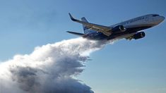 El aviónhidrante será usado junto a otros cinco aeronaves y un helicóptero