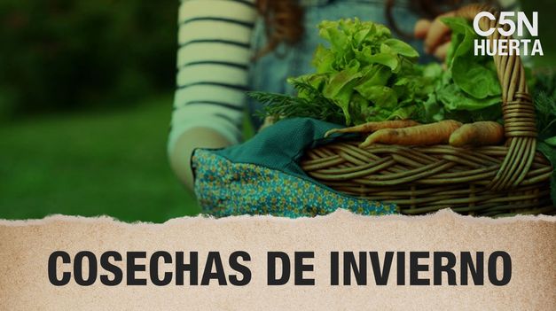 C5N | HUERTA: COSECHA de INVIERNO