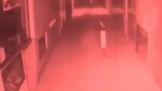 El sospechoso fantasma se hizo presente en la madrugada del domingo en Bariloche. El sospechoso fantasma se hizo presente en la madrugada del domingo en Bariloche.