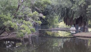Este espejo de agua es el más antiguo de Palermo.