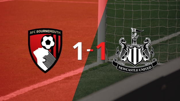 bournemouth logro sacar el empate de local frente a newcastle united