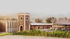 Las mejores alternativas para vivir una experiencia única de enoturismo Las mejores alternativas para vivir una experiencia única de enoturismo