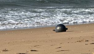 El hallazgo se produjo en Forrest Beach, en el norte de Queensland.
