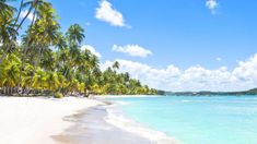 Febrero es un mes ideal para visitar este sitio paradisiaco que transmite la más pura tranquilidad Febrero es un mes ideal para visitar este sitio paradisiaco que transmite la más pura tranquilidad