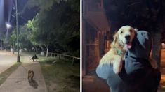 El tierno video causó furor en TikTok. El tierno video causó furor en TikTok.