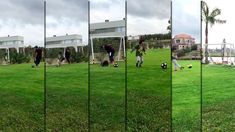 Viernes de fútbol para Diego Maradona y Benjamín Agüero: gambetas, pisadas y ¡patadas! Viernes de fútbol para Diego Maradona y Benjamín Agüero: gambetas, pisadas y ¡patadas!