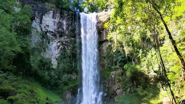 En el corazón de la provincia de Misiones, Argentina, se encuentra el Parque Provincial Salto Encantado, un oasis de belleza natural que dejará sin aliento a quienes lo visiten. 