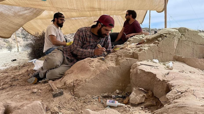 Para fanáticos de los dinosaurios: cómo será el nuevo streaming de paleontólogos argentinos