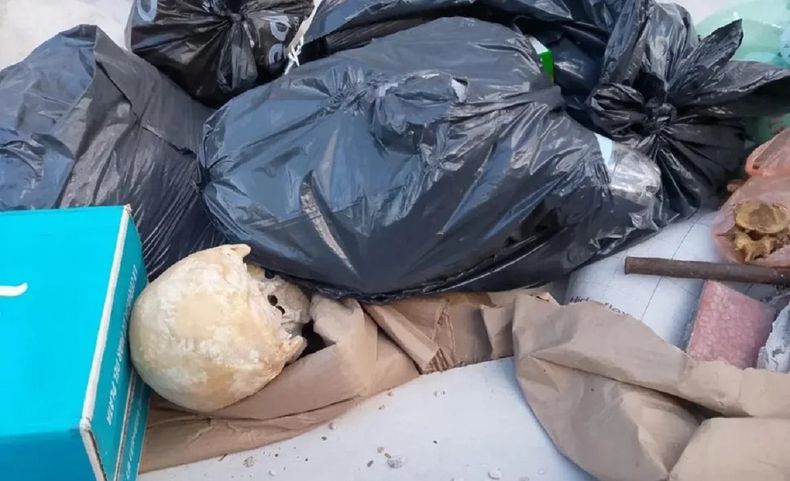 El cráneo humano fue hallado en Mar del Plata.