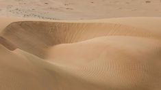 La duna Federico Kirbus es considerada la más alta del mundo. La duna Federico Kirbus es considerada la más alta del mundo.