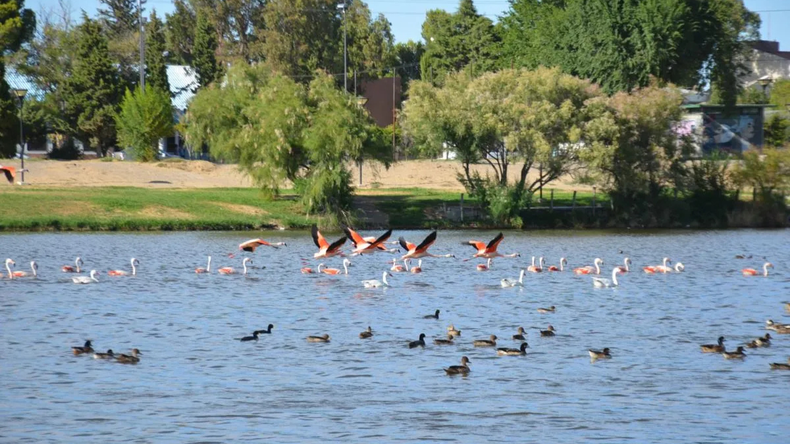 Trelew es la primera ciudad argentina en recibir la distinción de Ciudad de Humedal por su biodiversidad y sistemas de lagunas.