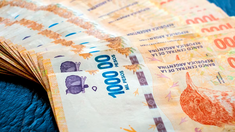 ANSES detalló quienes podrán acceder al bono de $27.000. ANSES detalló quienes podrán acceder al bono de $27.000.