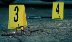 Crime Scene Berlin: Nightlife Killer es una serie documental de la N roja que detalla el caso de un asesino que logró permanecer prófugo hasta que una de sus víctimas sobrevivió.