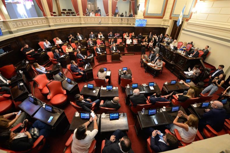 El Senado aprobó el proyecto para suspener las PASO y ahora lo debatirá Diputados.&nbsp;
