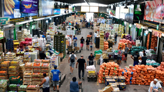 Precios de referencia del Mercado Central para saber ir a la verdulería: qué productos que no se recomiendan Precios de referencia del Mercado Central para saber ir a la verdulería: qué productos que no se recomiendan