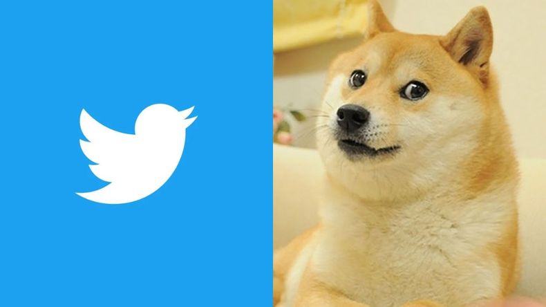 Elon Musk decidió cambiar el logo de Twitter por el Dogecoin.