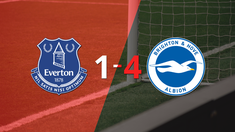 brighton and hove vencio con contundencia a everton